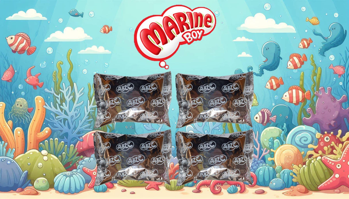 Orion Marine Boy Baked Crackers, Seaweed Flavor, 1 bag, 1.41 oz - Mighty Depot