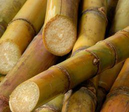 Chaokoh Sugar Cane in Syrup 12 oz (1 can) - Mighty Depot