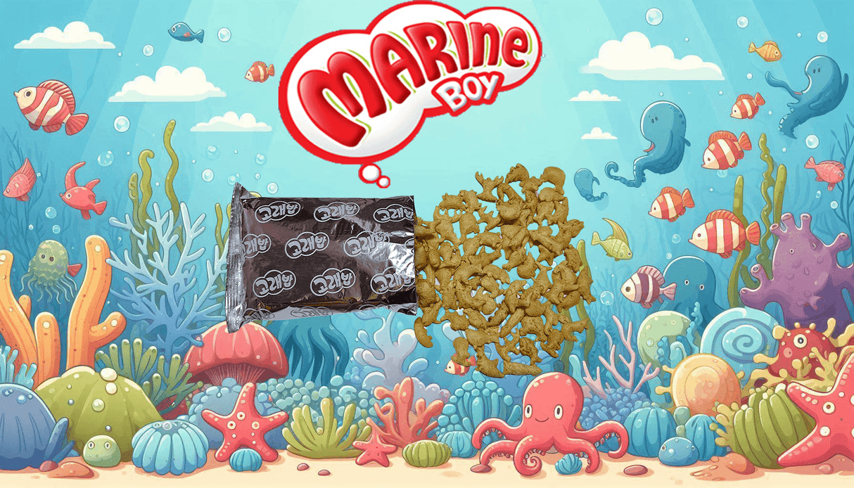 Orion Marine Boy Baked Crackers, Seaweed Flavor, 1 bag, 1.41 oz - Mighty Depot