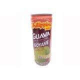 Philippine Brand - Guava juice nectar -12 x 8.4 oz / 250 ml - Product of the Philippines - Mighty Depot
