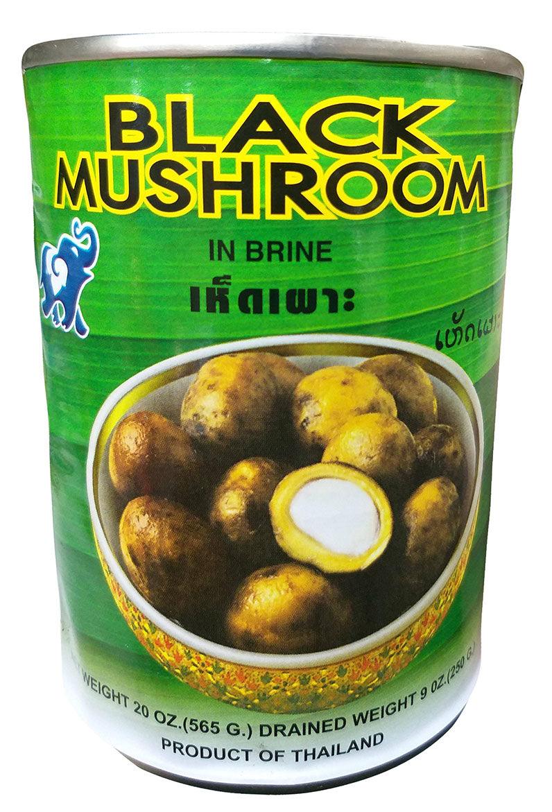 Best Choice - Black Mushroom in Brine, 20 Ounces, (Pack of 1 Can) - Mighty Depot