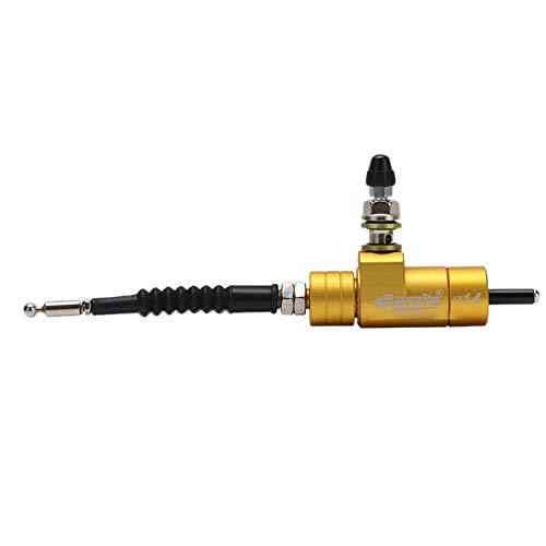 Tradition Darjeeling Tea 3.50 Oz - Mighty Depot