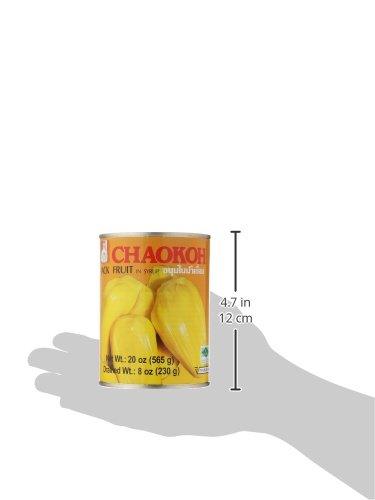 Chaokoh Jackfruit In Syrup, 20 Ounce (pack Of 24) - Mighty Depot