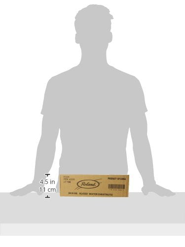 Roland Foods Sliced Water Chestnuts, Peeled and Boiled in Water, Specialty Imported Food, 8-Ounce Can - Mighty Depot