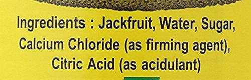 Chaokoh Jackfruit In Syrup, 20 Ounce (pack Of 24) - Mighty Depot