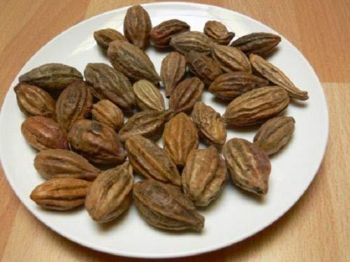 Harde Whole (Chebulic Myrobalan) - 100 Grams - Mighty Depot