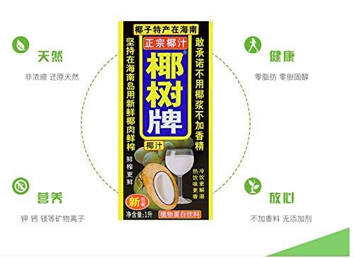 海南 椰树牌 椰汁 Hainan Hai Nan The Original Coconut Milk Juice Hydration coconut water, 100% pure - Mighty Depot