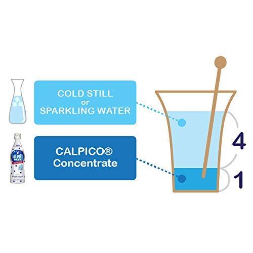 CALPICO Concentrate Non-Carbonated Beverage 5-times Undiluted Solution, Yogurty Flavor, 15.9 fl.oz. PET bottle (470 ml) (Pack of 6) - MADE IN JAPAN - Mighty Depot
