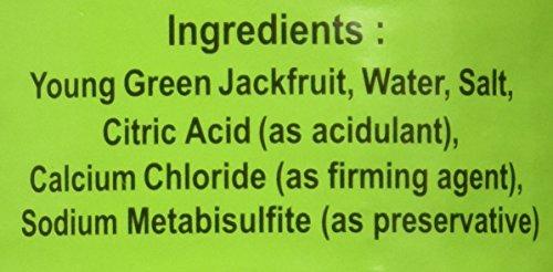 Young Green Jackfruit in Brine - Sliced (20 ounce) - Mighty Depot