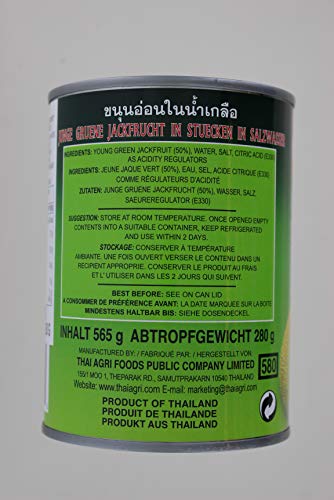 Aroy-D Young Green Jackfruit in Brine, 20 Ounce (Pack of 6) - Mighty Depot