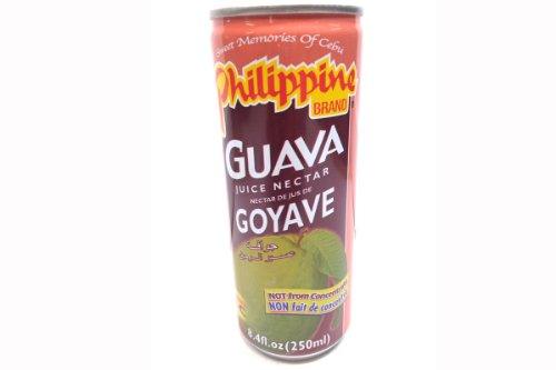 Goyave Nectar De Jus De (Guava Juice Nectar) - 8.4fl Oz (Pack of 6) - Mighty Depot
