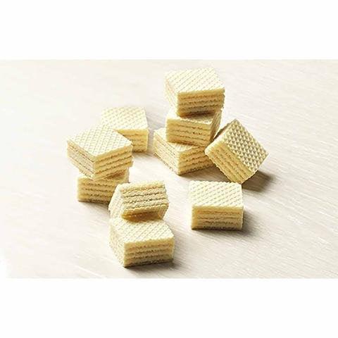 Gastone Lago Party Variety Wafers Cream Filling 8.82 oz, 250g (Pack of 2) (Dulce de Leche / Cappucino, 2-Pack) - Mighty Depot