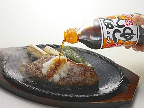 Men Tsuyu/Liquid Concentrated Japanese Noodle Soup Base 16.9 fl oz - Mighty Depot