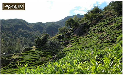 Organic Dandelion Tea 40 Tea Bags, Premium Korean Herb - Mighty Depot