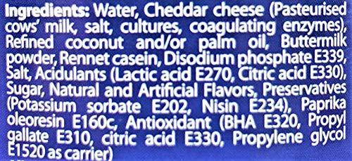 Magnolia Cheezee Cheddar Cheese Flavored Spread, 480g - Mighty Depot