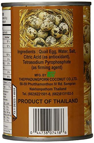 Quail Egg in Brine - 15oz (Pack of 3) - Mighty Depot