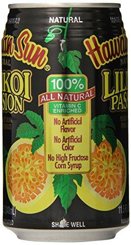 Hawaiian Sun Lilikoi, Passion Fruit, 11.5-Ounce (Pack of 24) - Mighty Depot