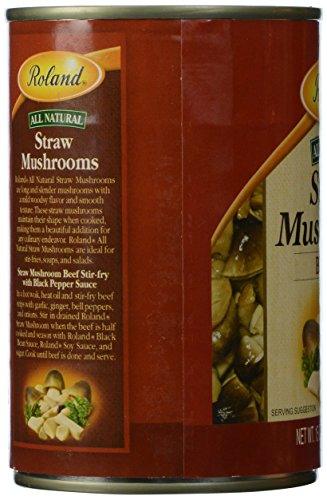 Roland: Mushrooms, Straw, Broken, 15 OZ - Mighty Depot