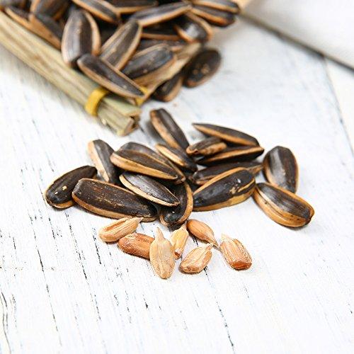ChaCha Roasted 100% Natural Boiling and Drying Sunflower Seeds Chinese Upmarket Pecan Flavor 5.64-Ounce - Mighty Depot