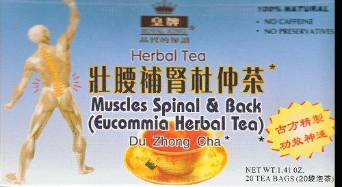 Muscles Spinal & Back Eucommia Herbal Tea - 20 Bags - Mighty Depot