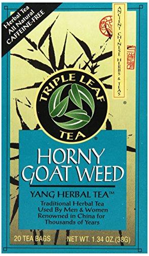 Triple Leaf Tea, Horny Goat Weed, 20 Teabags (Pack of 6) - Mighty Depot