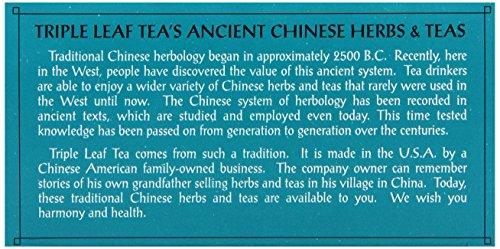 Triple Leaf Tea, Horny Goat Weed, 20 Teabags (Pack of 6) - Mighty Depot