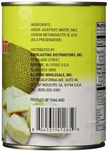 Lucia Green Jackfruit in Water 280g Pack of 4 - Mighty Depot