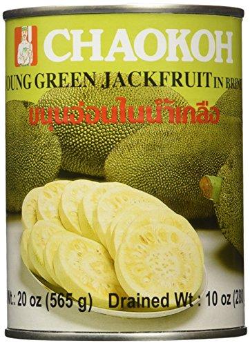 Young Green Jackfruit in Brine - Sliced (20 ounce) - Mighty Depot