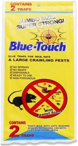 Jumbo Size Super Strong Glue Traps for Mice, Rats & Large Crawling Pests 2 Traps per pack (1) - Mighty Depot