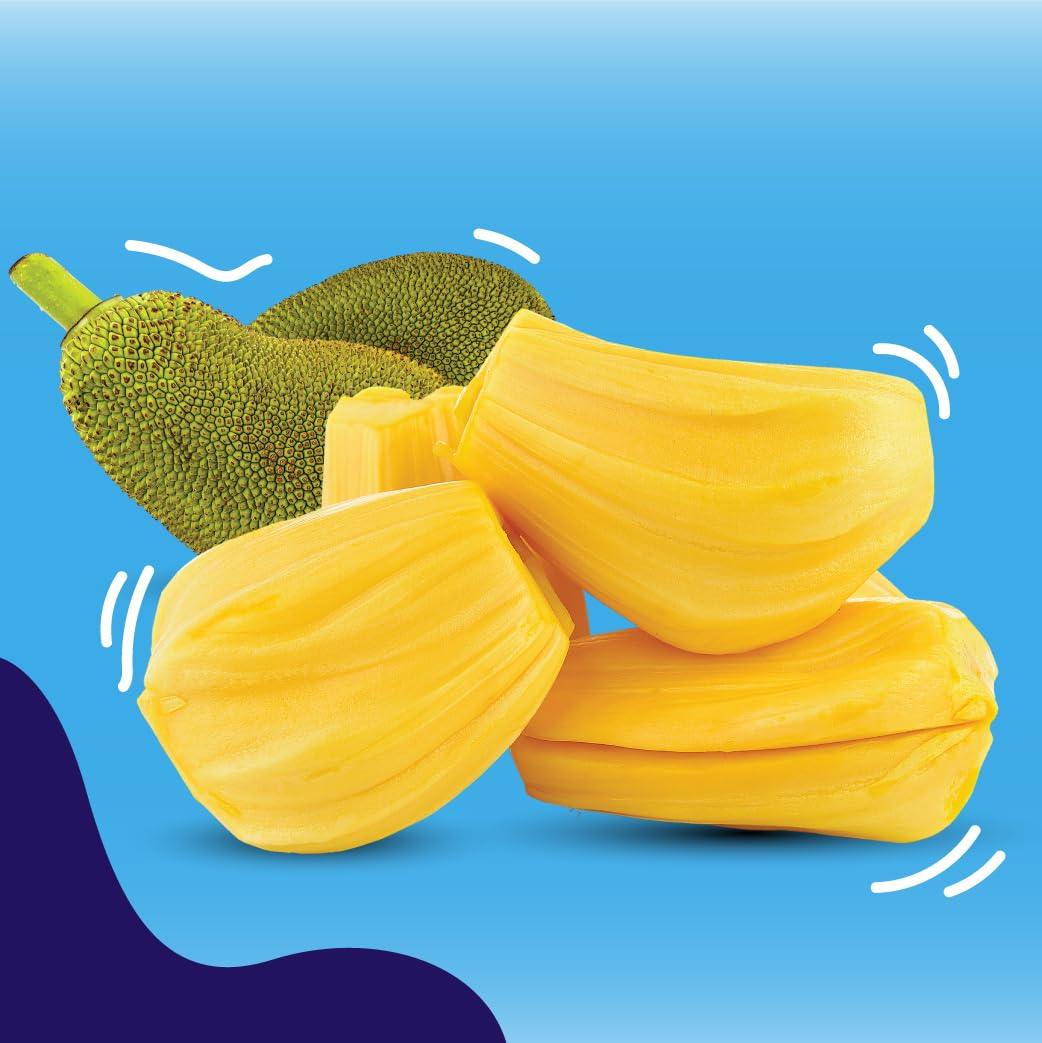 Jans Buah Dried Jackfruit Bites, Dried Fruit Snack Made From Real Fruit, Gluten Free, Sweet and Crunchy, ready to consume, 7.05 oz per pack (Pack of 1) - Mighty Depot