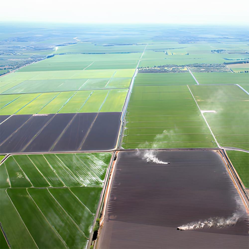 Kagayaki Select Rice | California White Short Grain | (15 lbs) - Mighty Depot