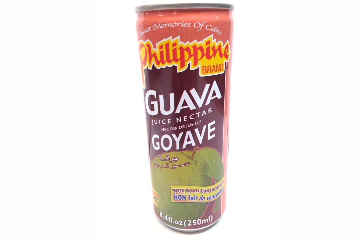 Goyave Nectar De Jus De (Guava Juice Nectar) - 8.4fl Oz (Pack of 6) - Mighty Depot