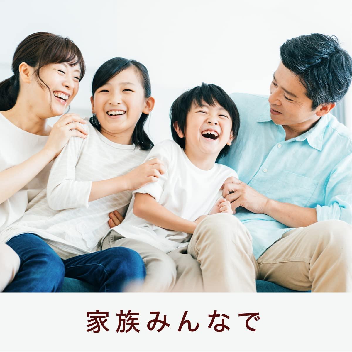 Real 73gX10 pieces of Lotte pie - Mighty Depot