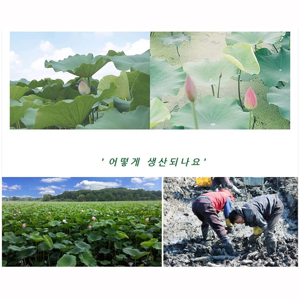 NAEMANGAETBEOL Powder (500) - Mighty Depot