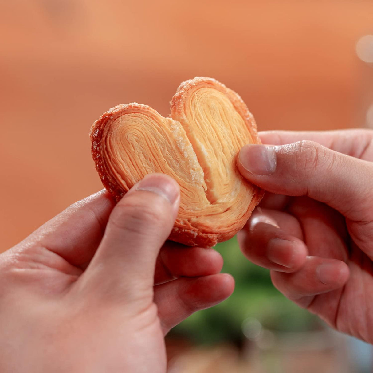 EULONG Palmier Puff Pastry, Holiday Butterfly Cookie Biscuits, Heart Cookie Valentine Gift Snack Individually Wrapped 4.23Oz - Mighty Depot