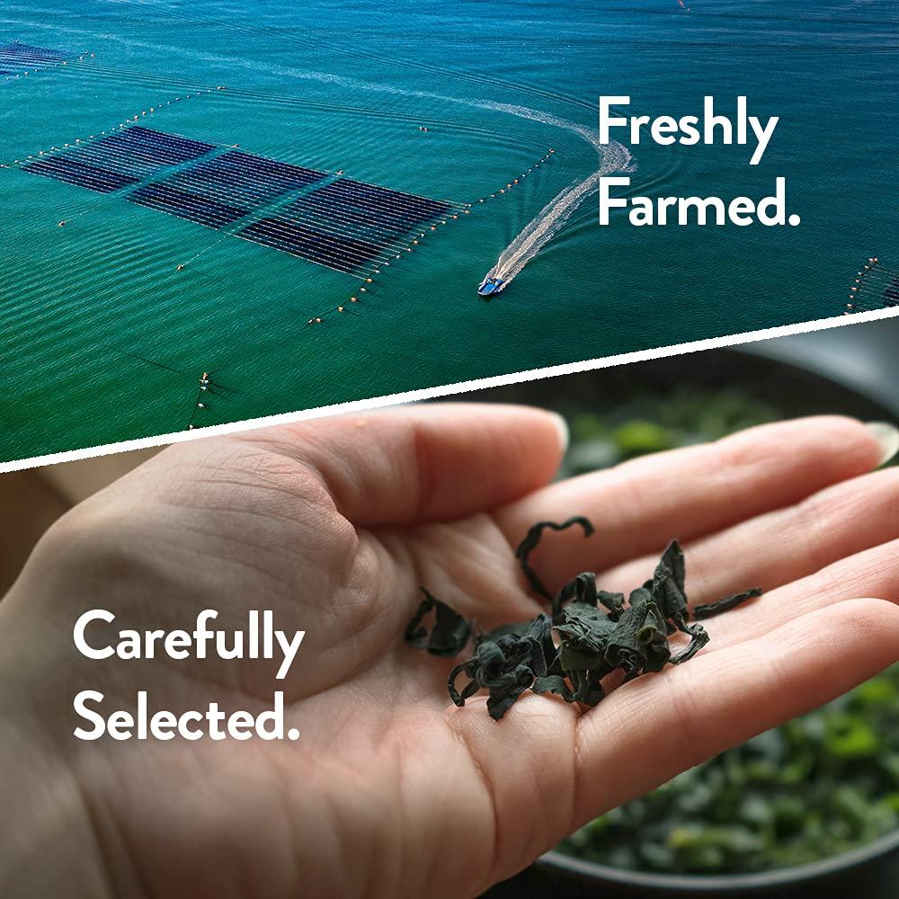 Jongga Korean Seaweed Ramen (Noodles), 65g, 6 Pack - Mighty Depot