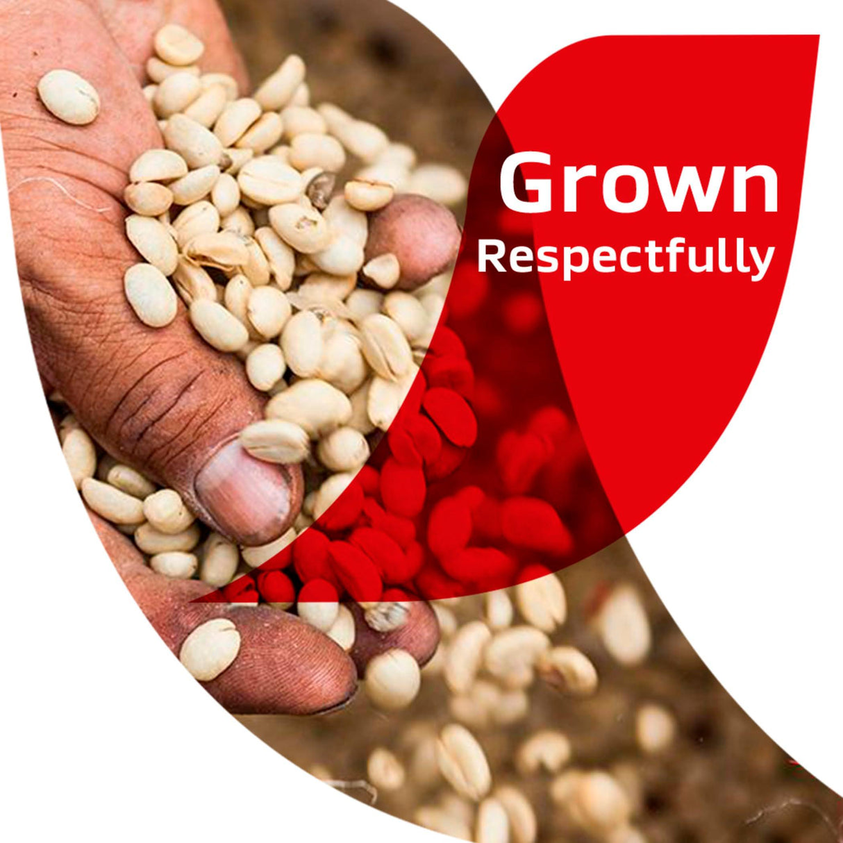 NESCAFÉ CLÁSICO Colombia, Medium Roast Instant Coffee, 6 oz. Jar - Mighty Depot