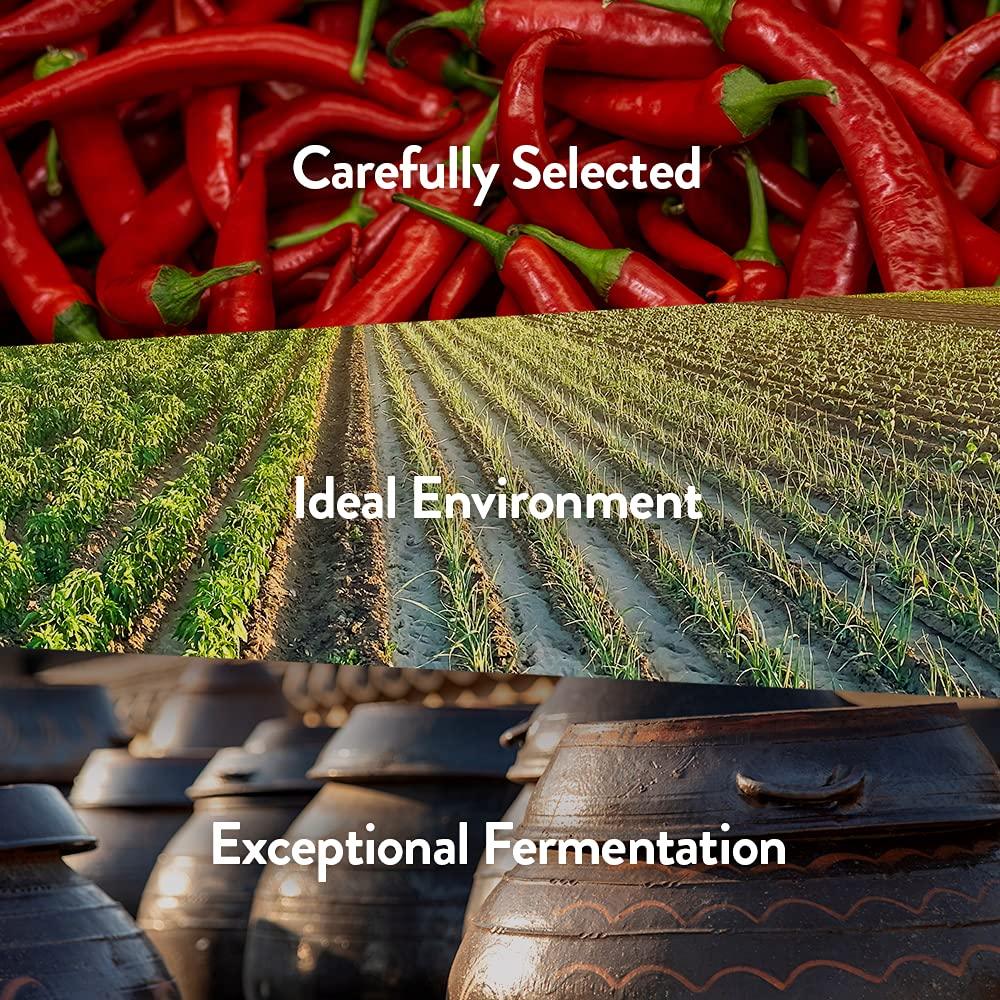 Chung Jung One Sunchang Gochujang - Red Pepper Paste (6.6lbs) (3kg) - Mighty Depot