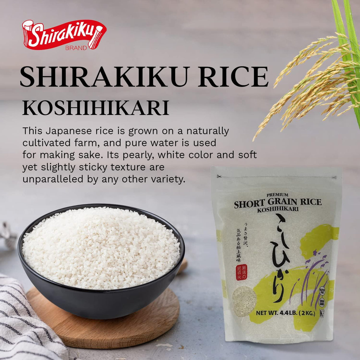Shirakiku Dried Grains & Rice - Japanese Short Grain White Koshihikari Rice - Uncooked Premium Quality Sweet Sticky Sushi Rice, 4.4 Pounds bag - Mighty Depot