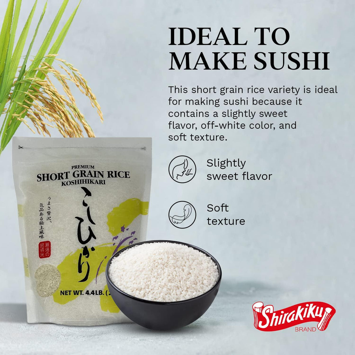 Shirakiku Dried Grains & Rice - Japanese Short Grain White Koshihikari Rice - Uncooked Premium Quality Sweet Sticky Sushi Rice, 4.4 Pounds bag - Mighty Depot