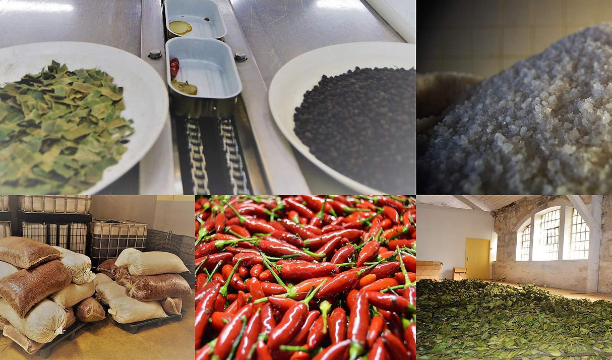 Nuri FISH - Mighty Depot