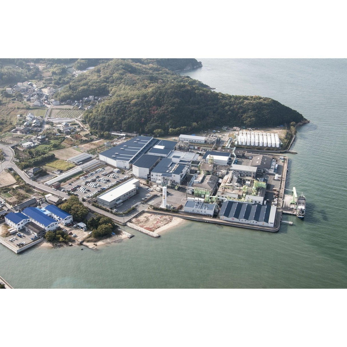 Sumiya white sesame oil 200g - Mighty Depot