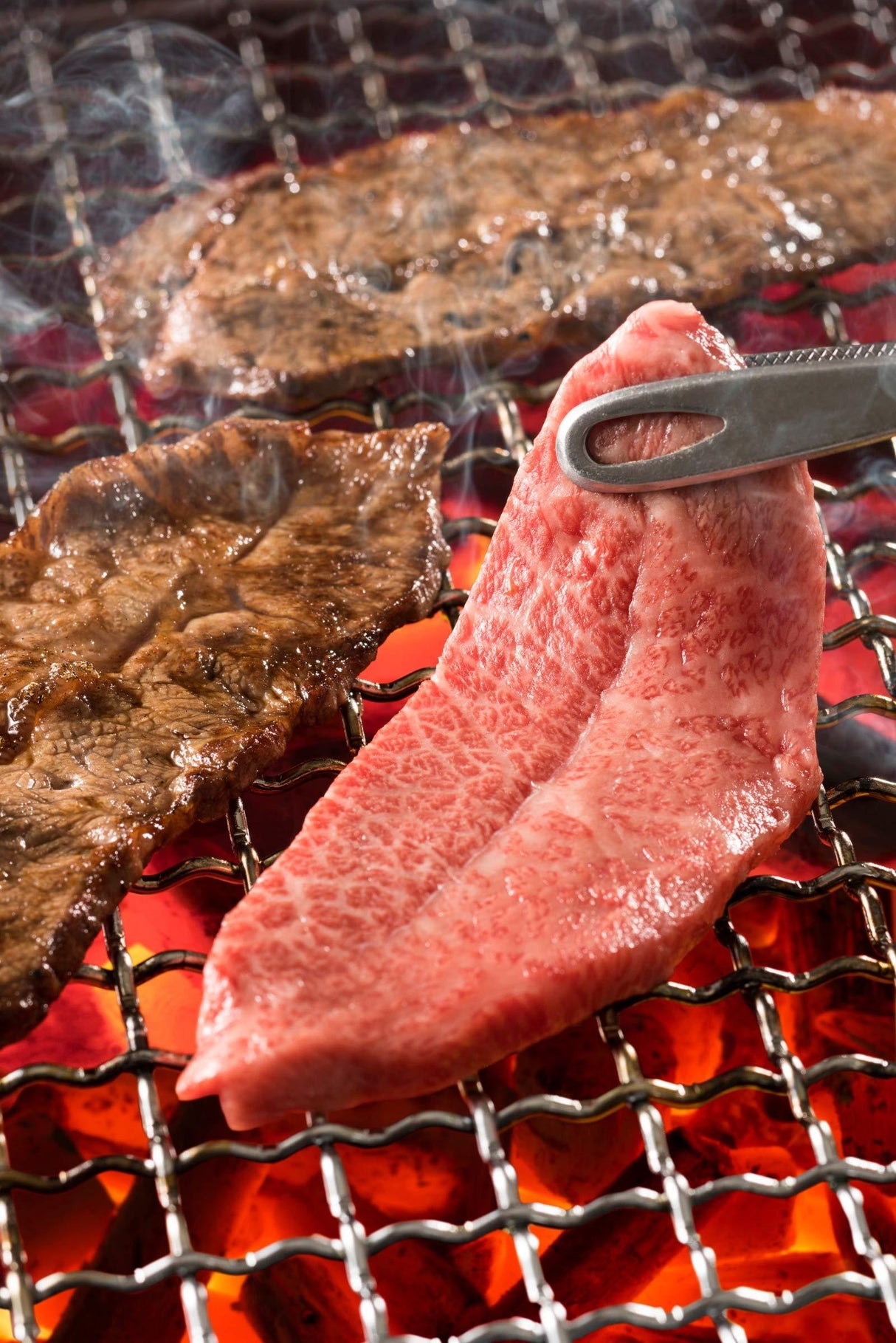 Ebara SAUCE - Mighty Depot