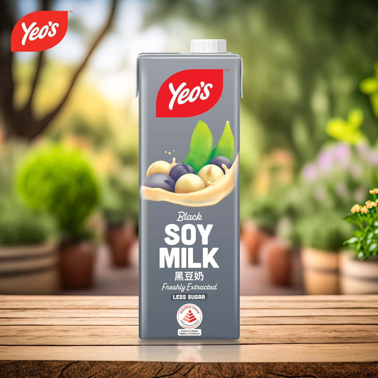 Soymilk - Pack of 24. - Mighty Depot