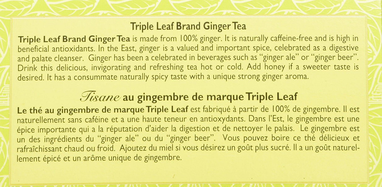 Triple Leaf Brand Herbal Tea, Ginger, 20-Count - Mighty Depot