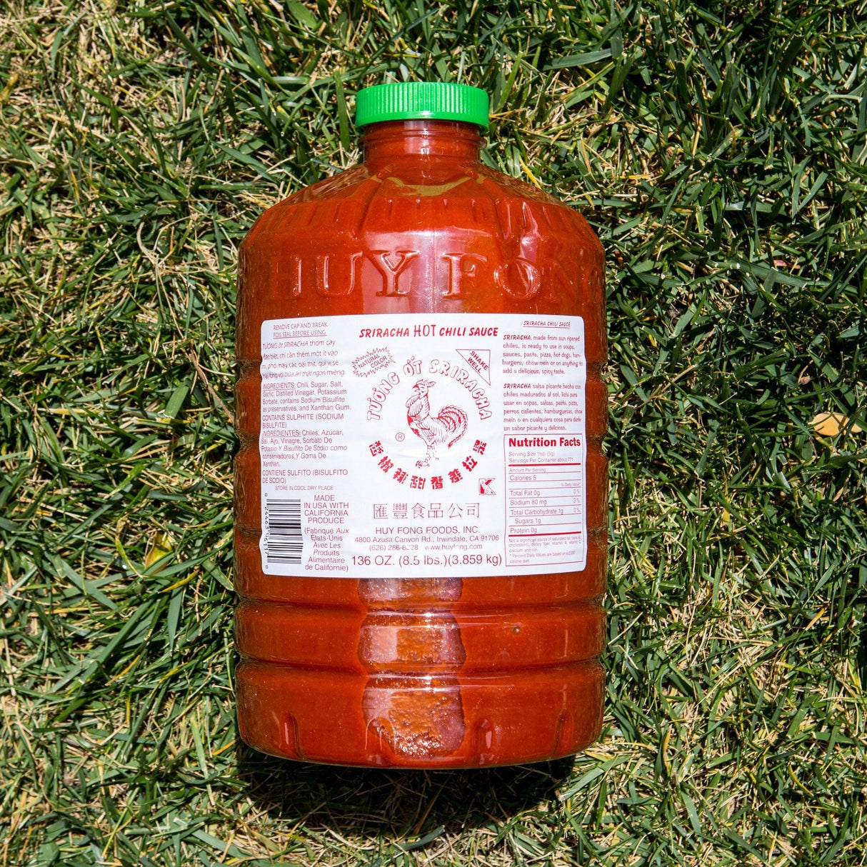 Huy Fong Sriracha Hot Chili Sauce Oz Bottle - Mighty Depot