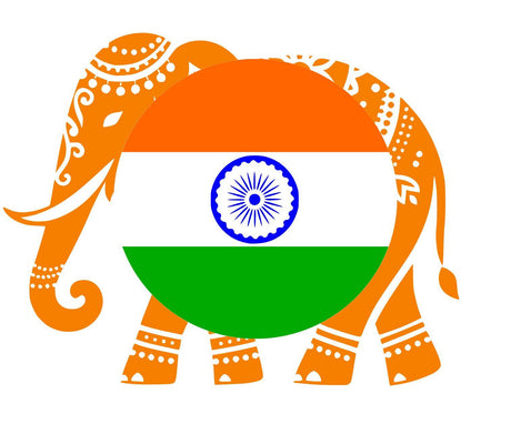 Indian Brands - Mighty Depot