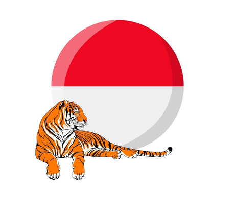 Indonesian Brands - Mighty Depot