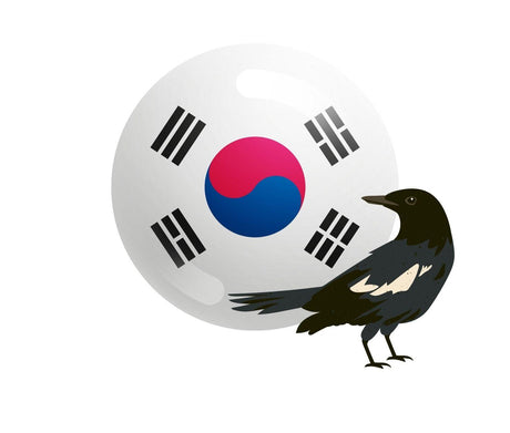 South Korean Brands - Mighty Depot