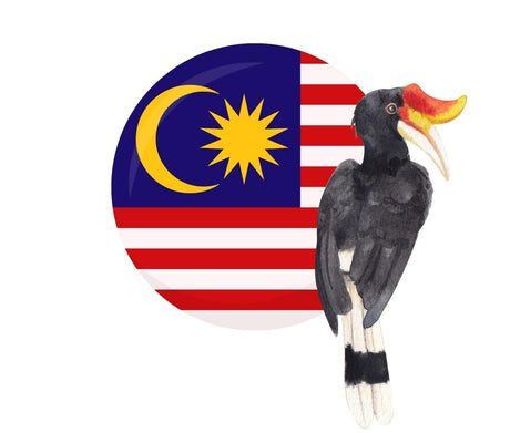 Malaysian Brands - Mighty Depot